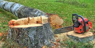 Best Firewood Processing and Delivery  in Brentwood, TN